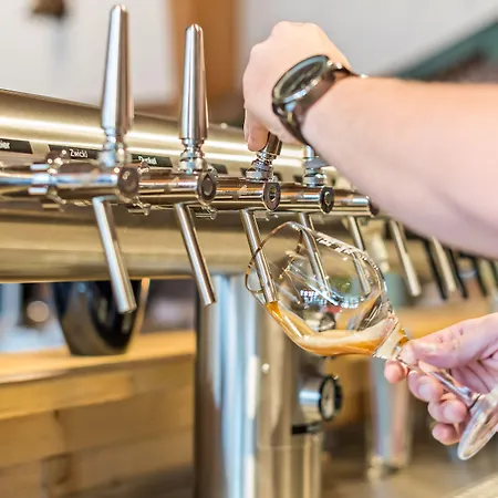 Bergmayr - Chiemgauer Alpenhotel 酒店 因泽尔